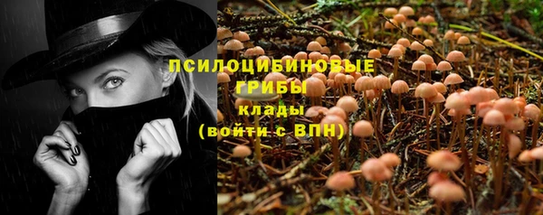 тгк Покров
