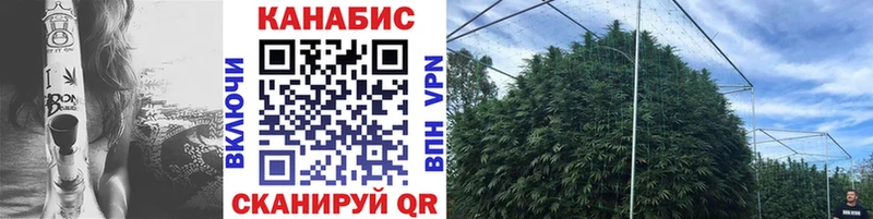 даркнет какой сайт Межгорье Канабис SATIVA & INDICA